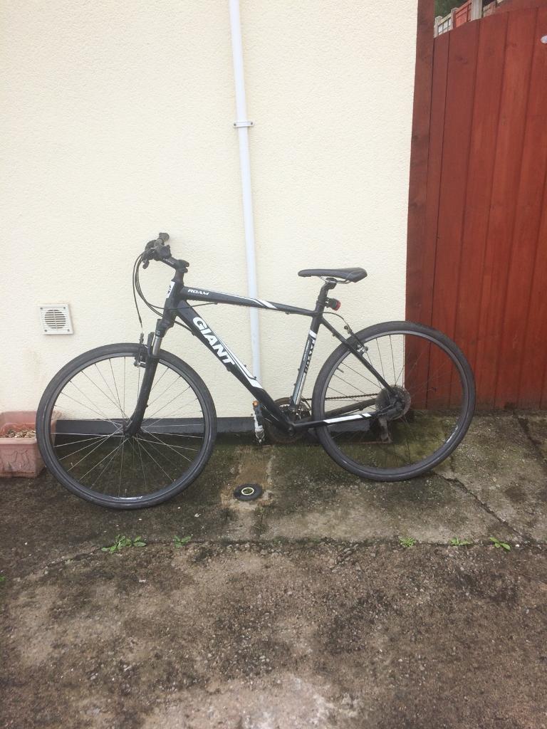 giant roam ex